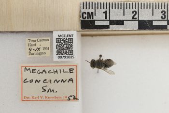 Media type: image;   Entomology 791025 Aspect: Labels